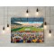 Mansfield Town FC Field Mill Stadium Wall Art Canvas